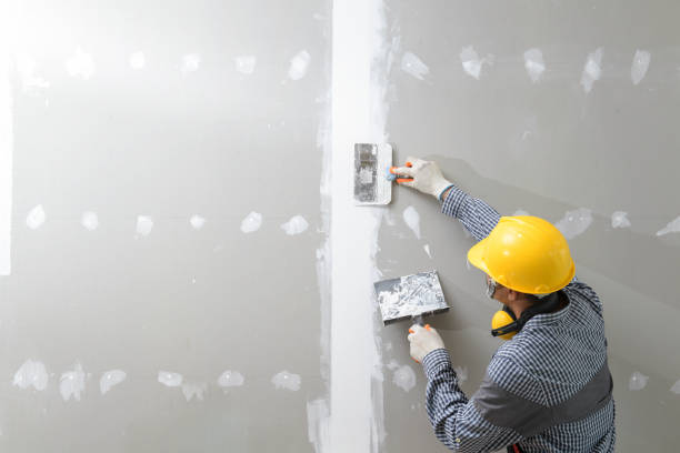 Best Mold Odor Removal Services  in Centralia, IL