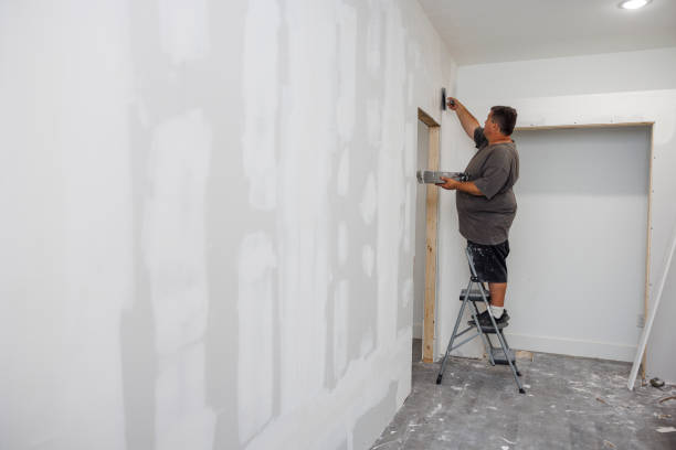 Trusted Centralia, IL Mold Removal Experts
