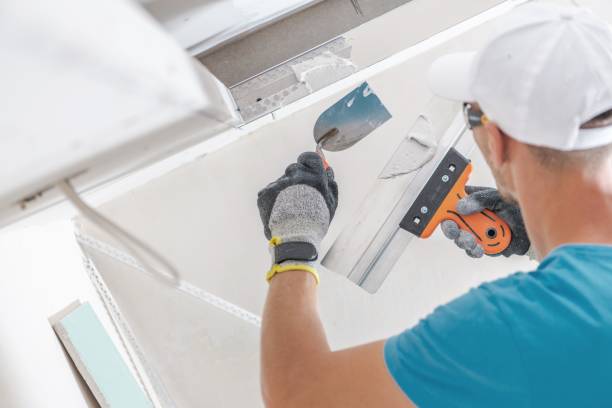 Best Crawl Space Mold Remediation  in Centralia, IL